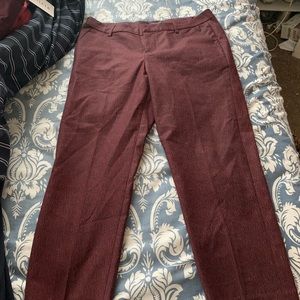 Liverpool pants